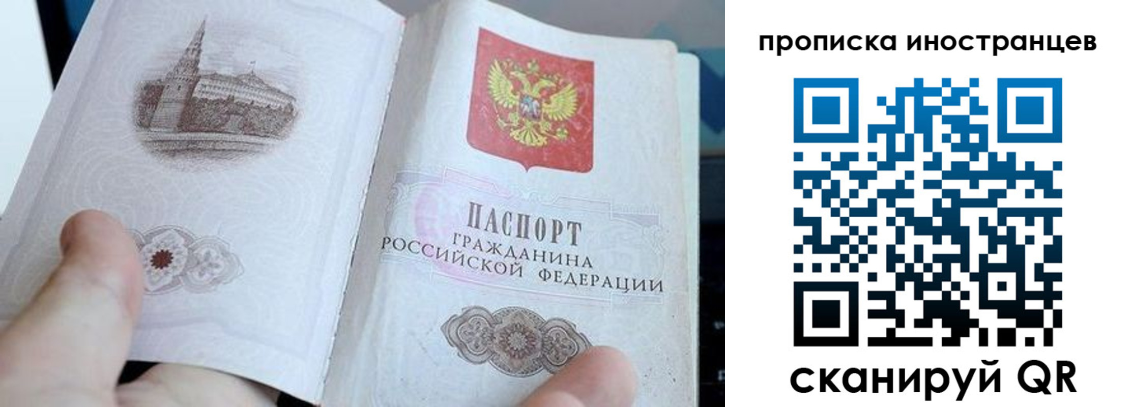 прописка поиск в Опочке